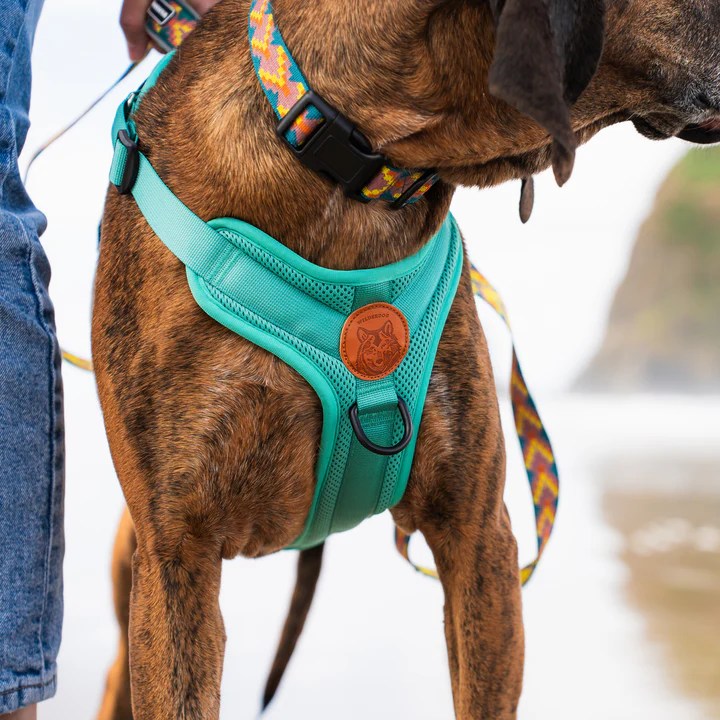 Real-World Review: Wilderdog Dog Harness – The Perfect Choice for Active&nbsp;Pups