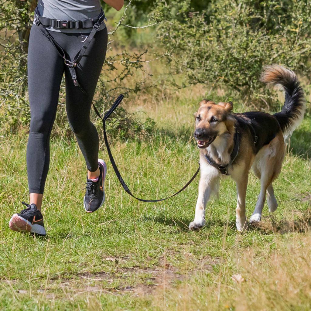 HarnessBuddy – The Hands-Free Dog Harness Designed for Easier Walks and Better&nbsp;Control